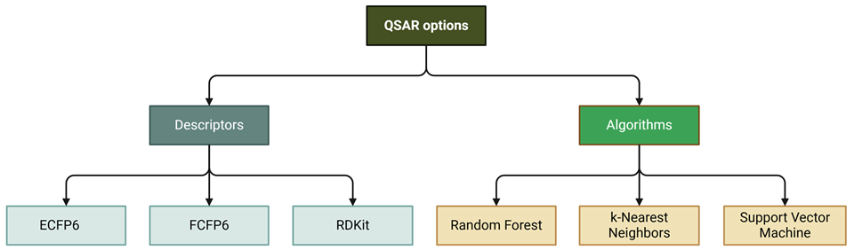 QSAR Builder overview